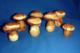 Pilze aus Eibenholz