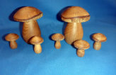 Pilze aus Walnußholz